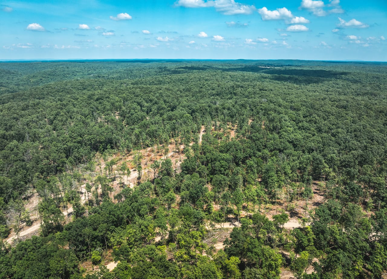 Land & Timber 49