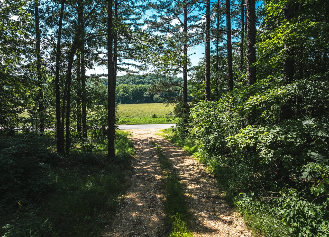 Land & Timber 49