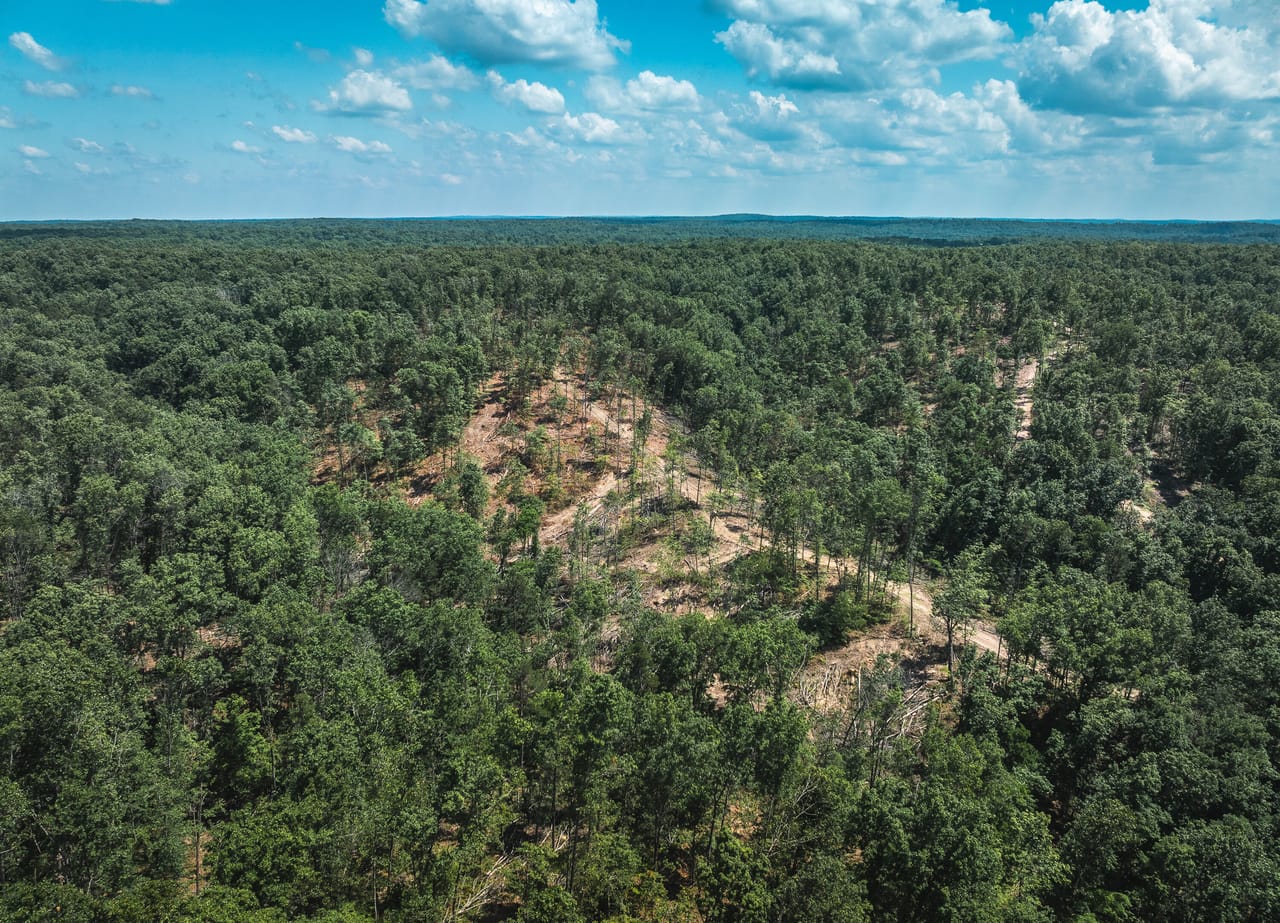 Land & Timber 49