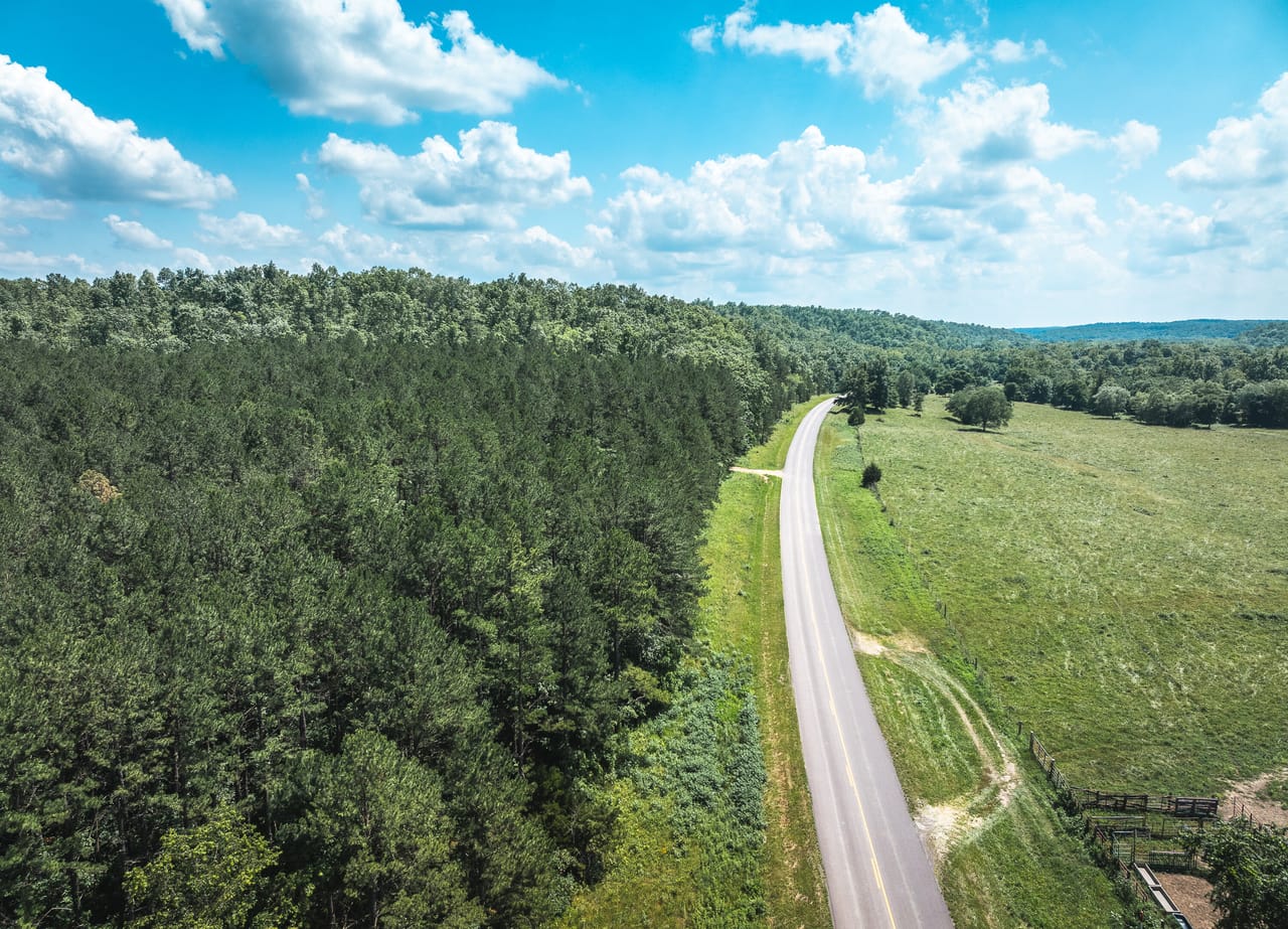Land & Timber 49