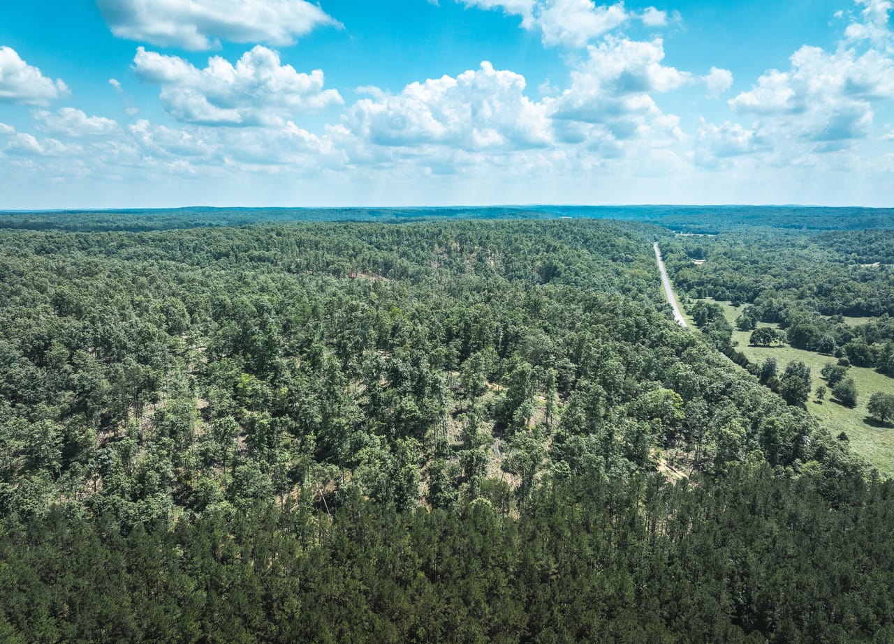 Land & Timber 49