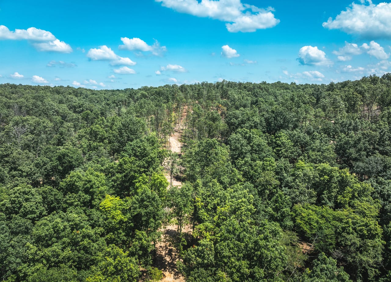 Land & Timber 49