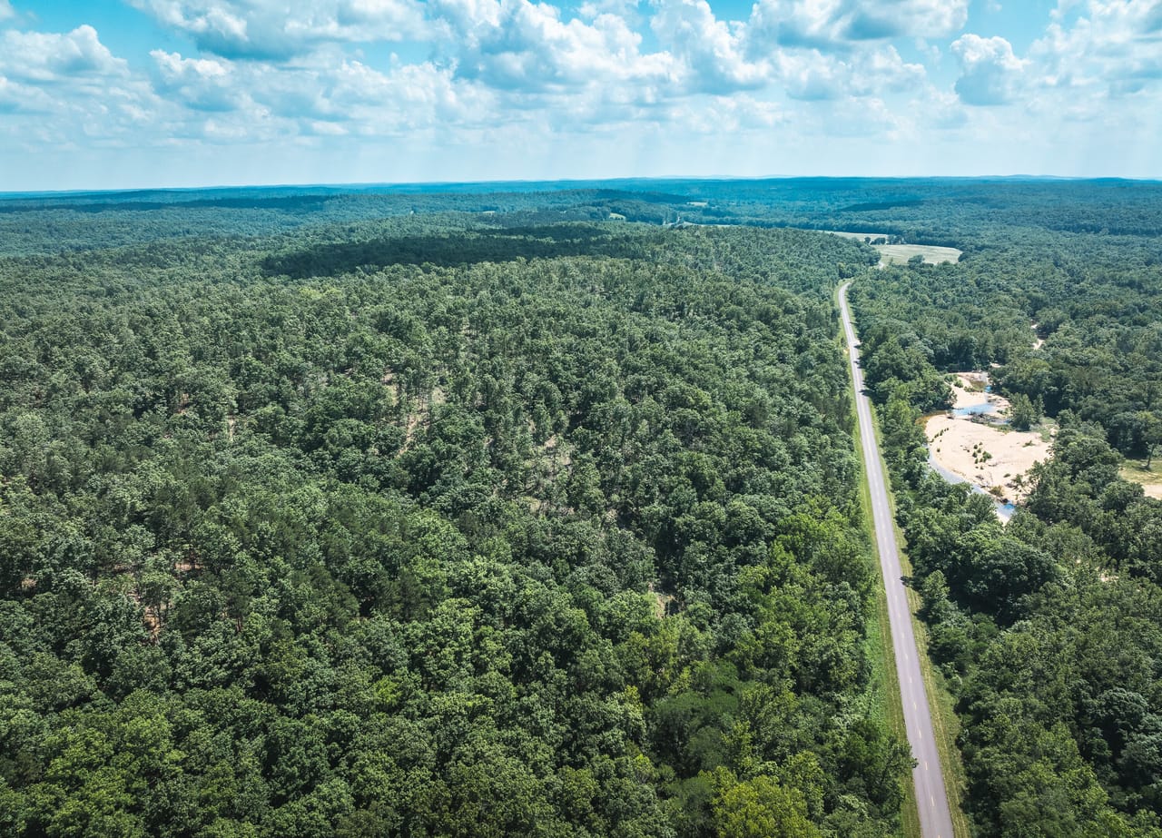 Land & Timber 26