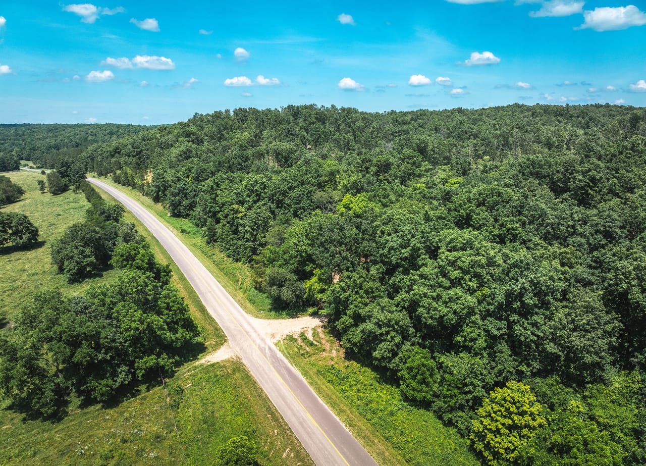 Land & Timber 26
