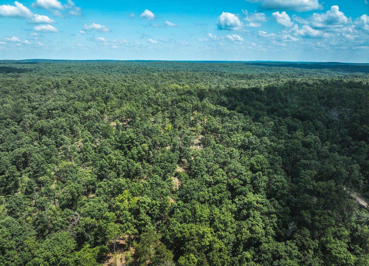 Land & Timber 27