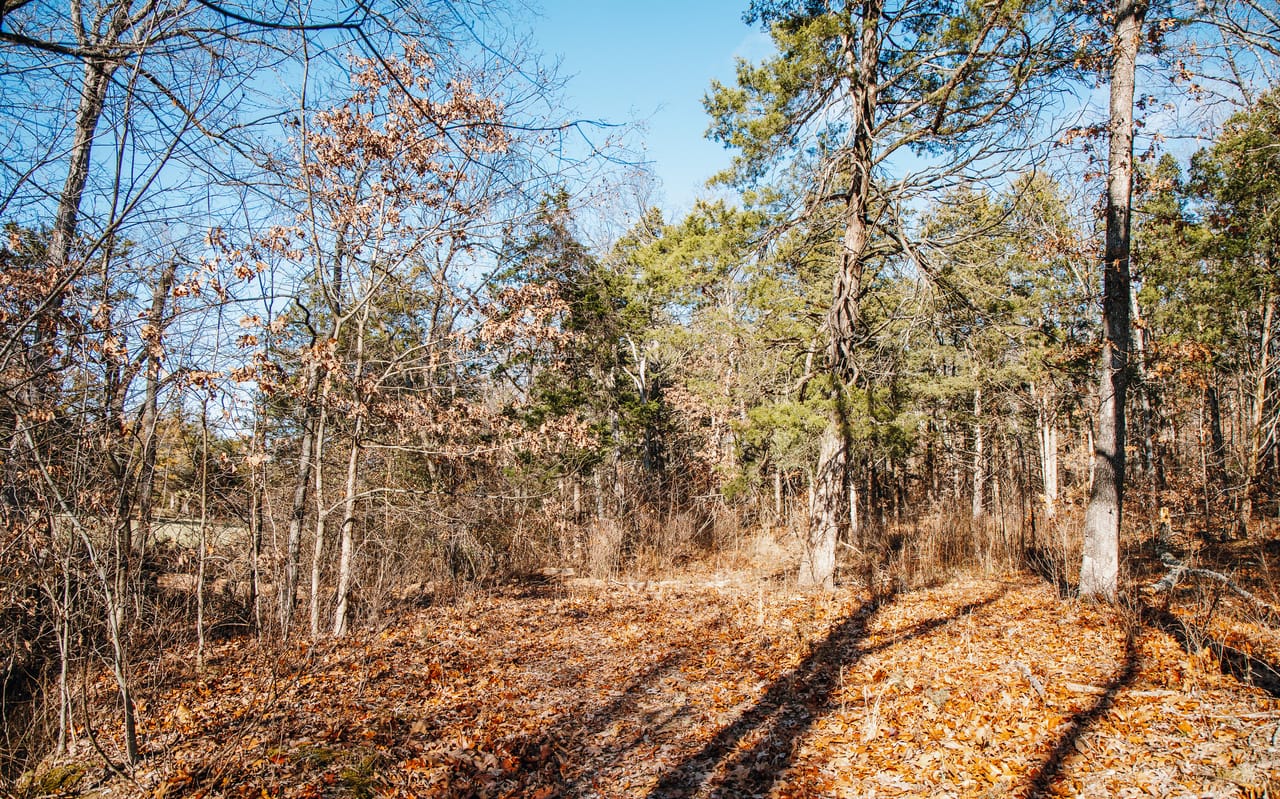 Listing Image 16