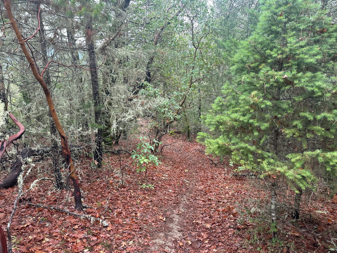 Listing Image 6