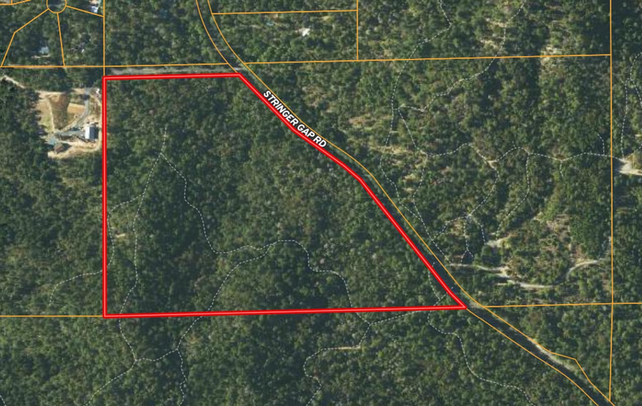 Listing Image 10
