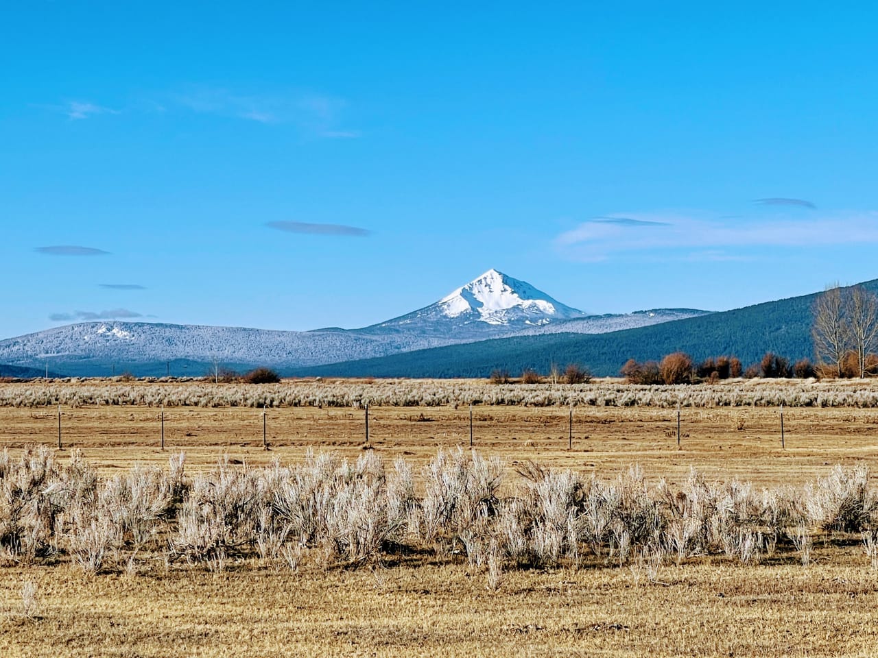 31130 Modoc Point