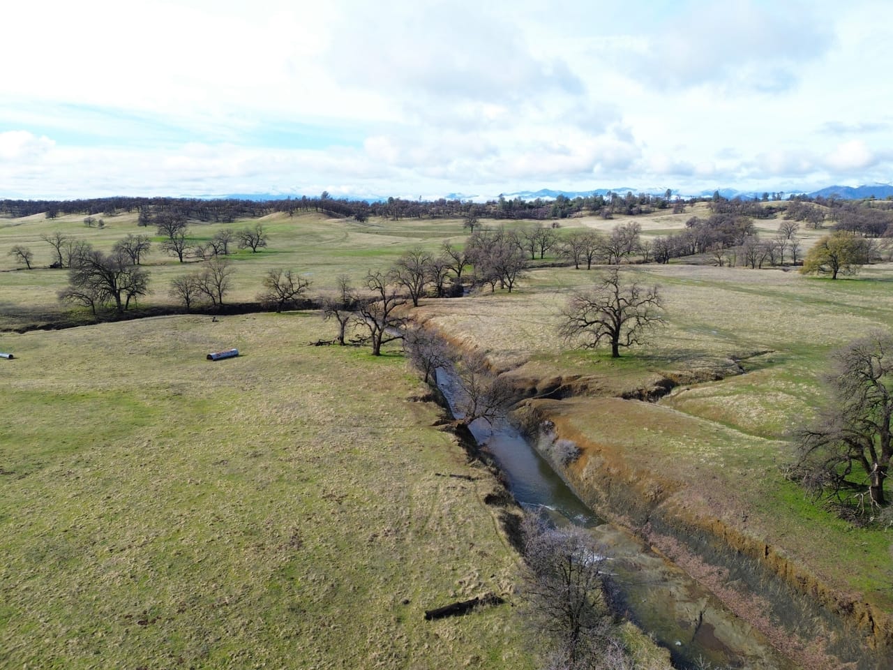 Listing Image 24