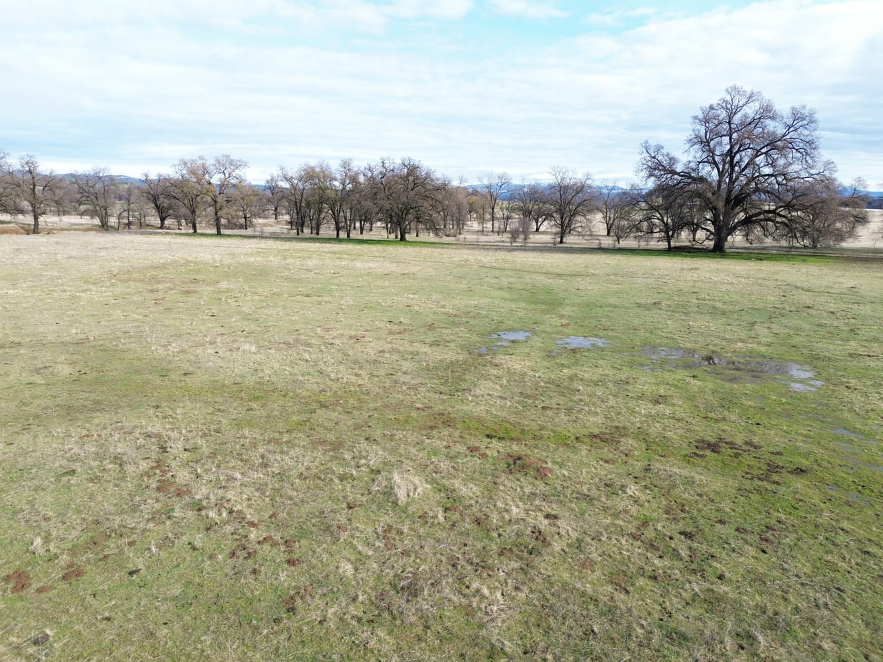 Listing Image 38