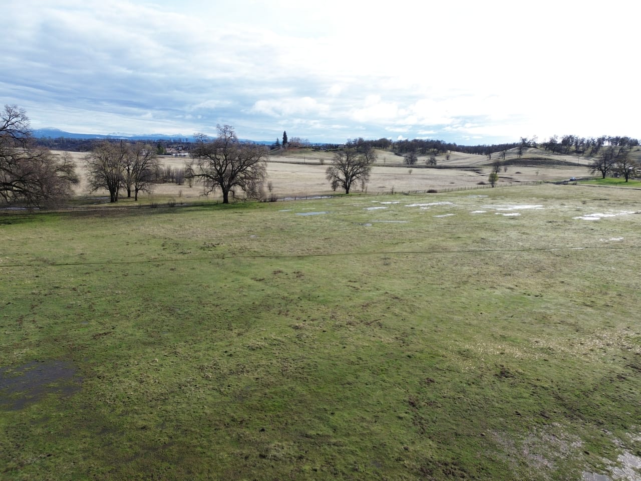Listing Image 51