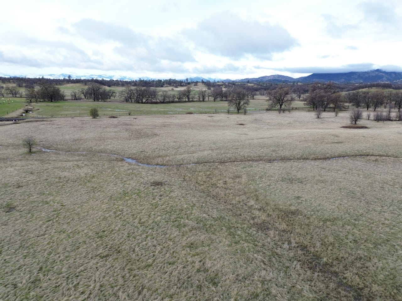 Listing Image 29