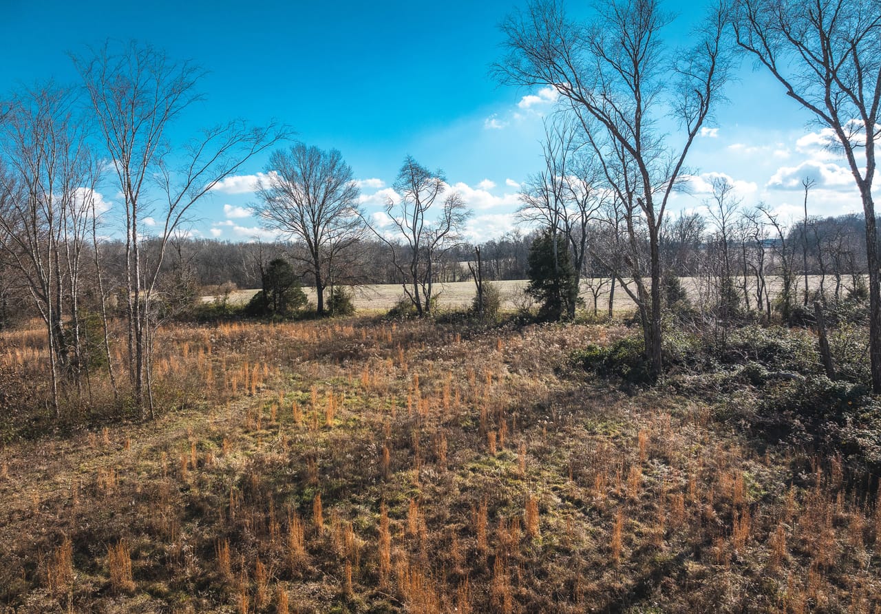 Listing Image 29