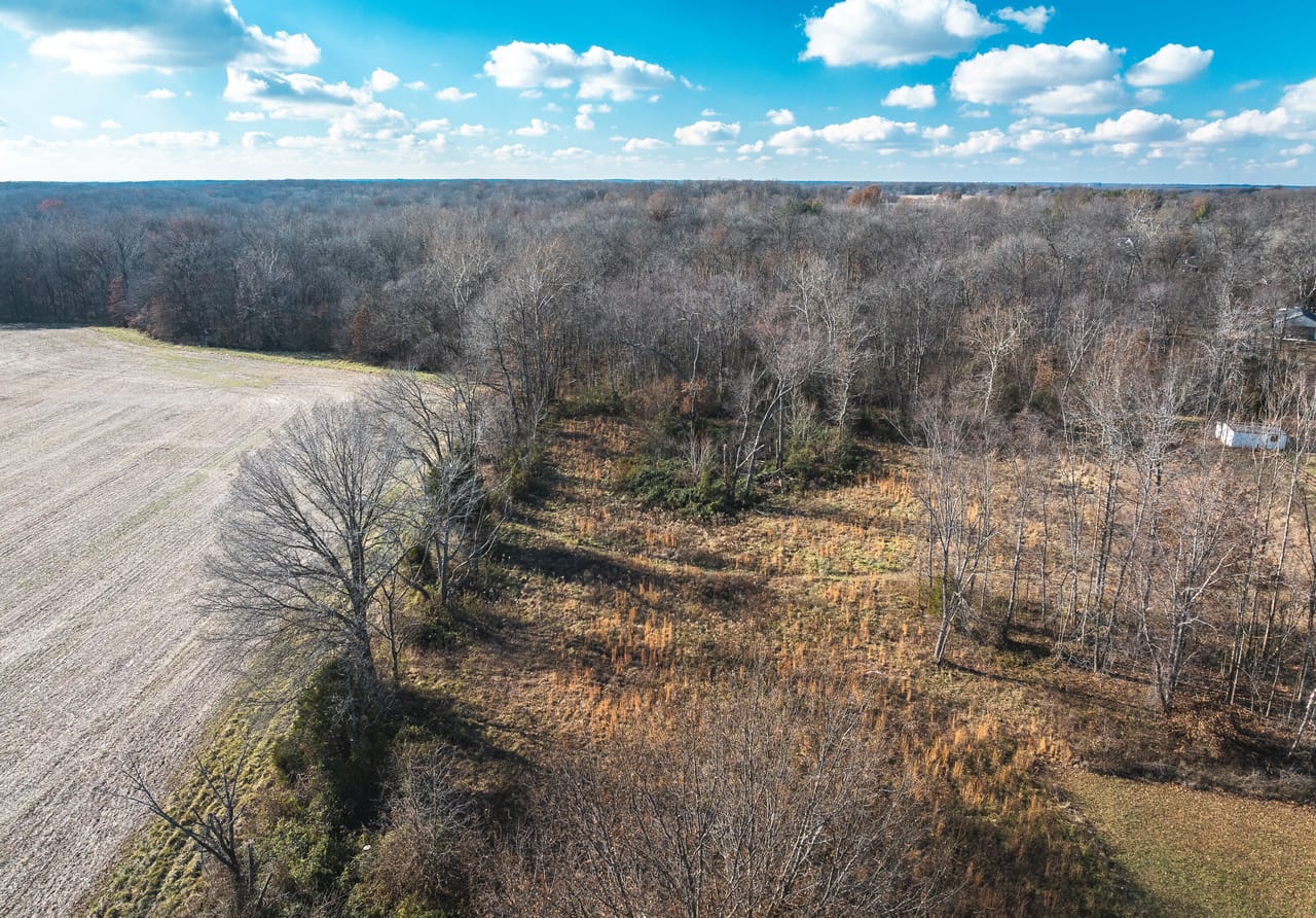 Listing Image 17