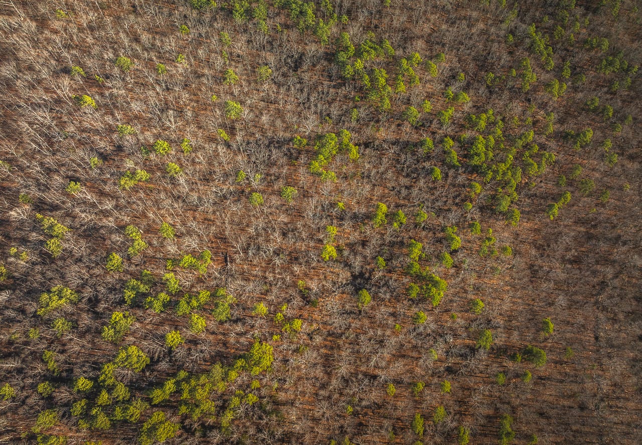 Listing Image 28