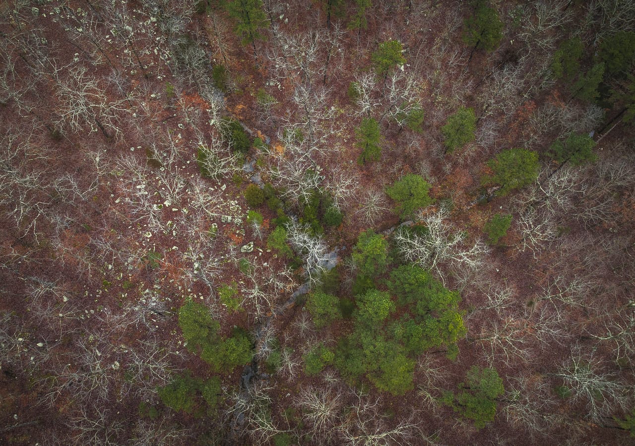 Listing Image 43