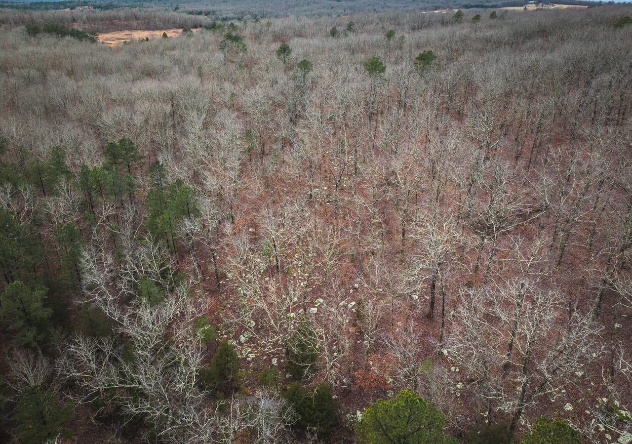 Listing Image 37