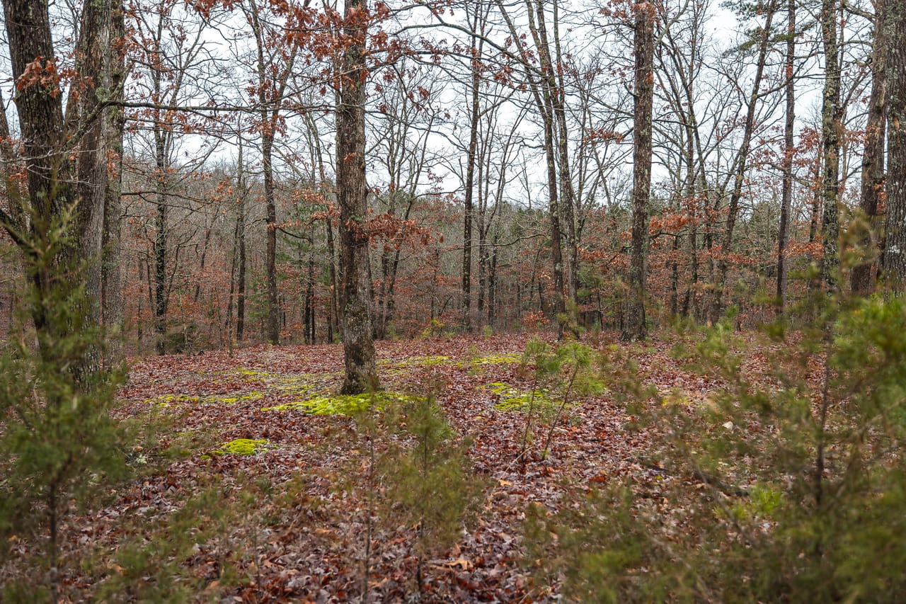 Listing Image 21