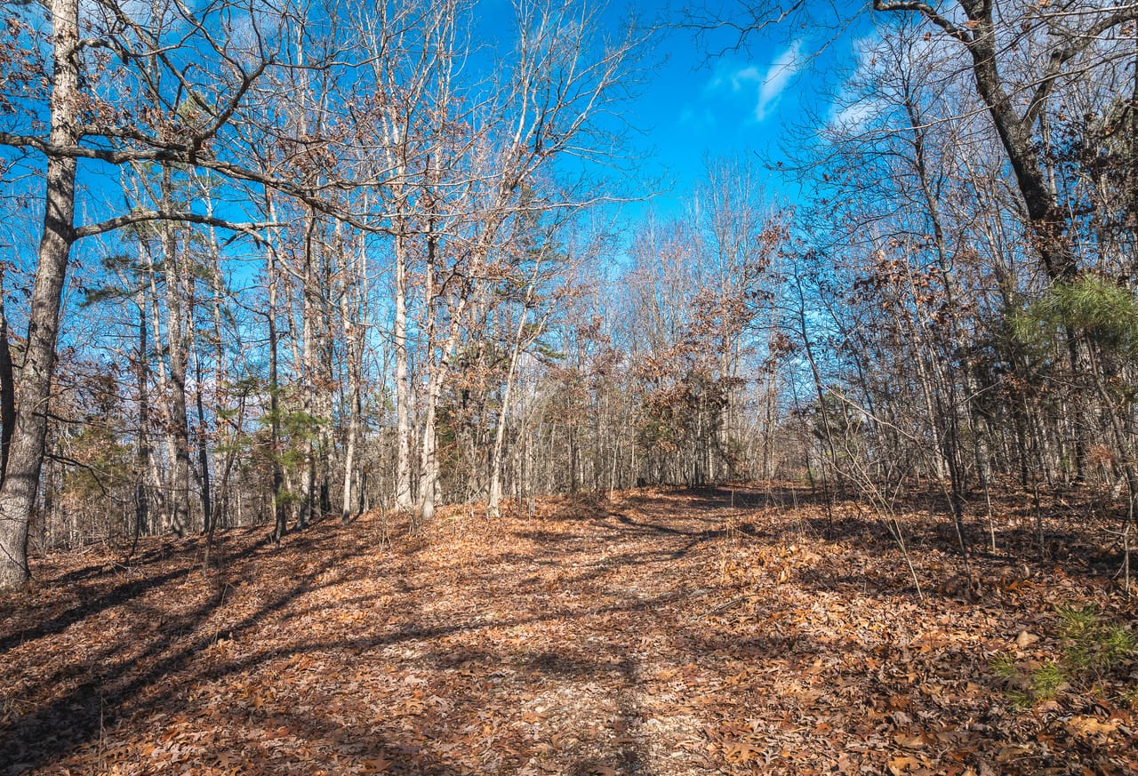 Listing Image 32