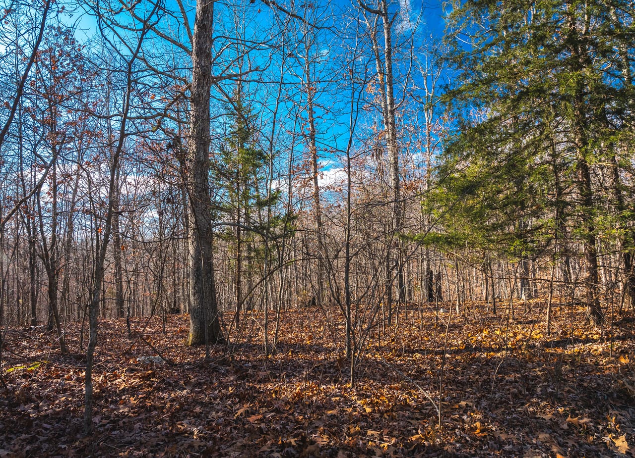 Listing Image 16