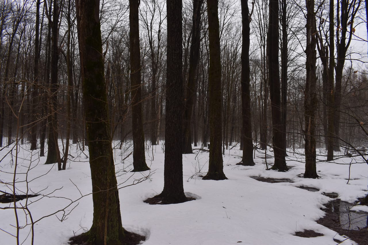 Harris Hill Lot 1