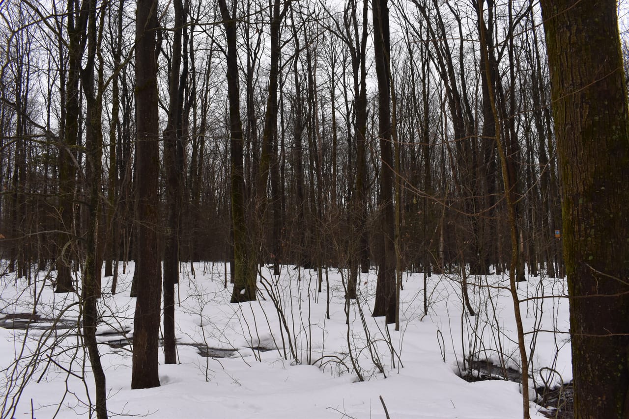Harris Hill Lot 1
