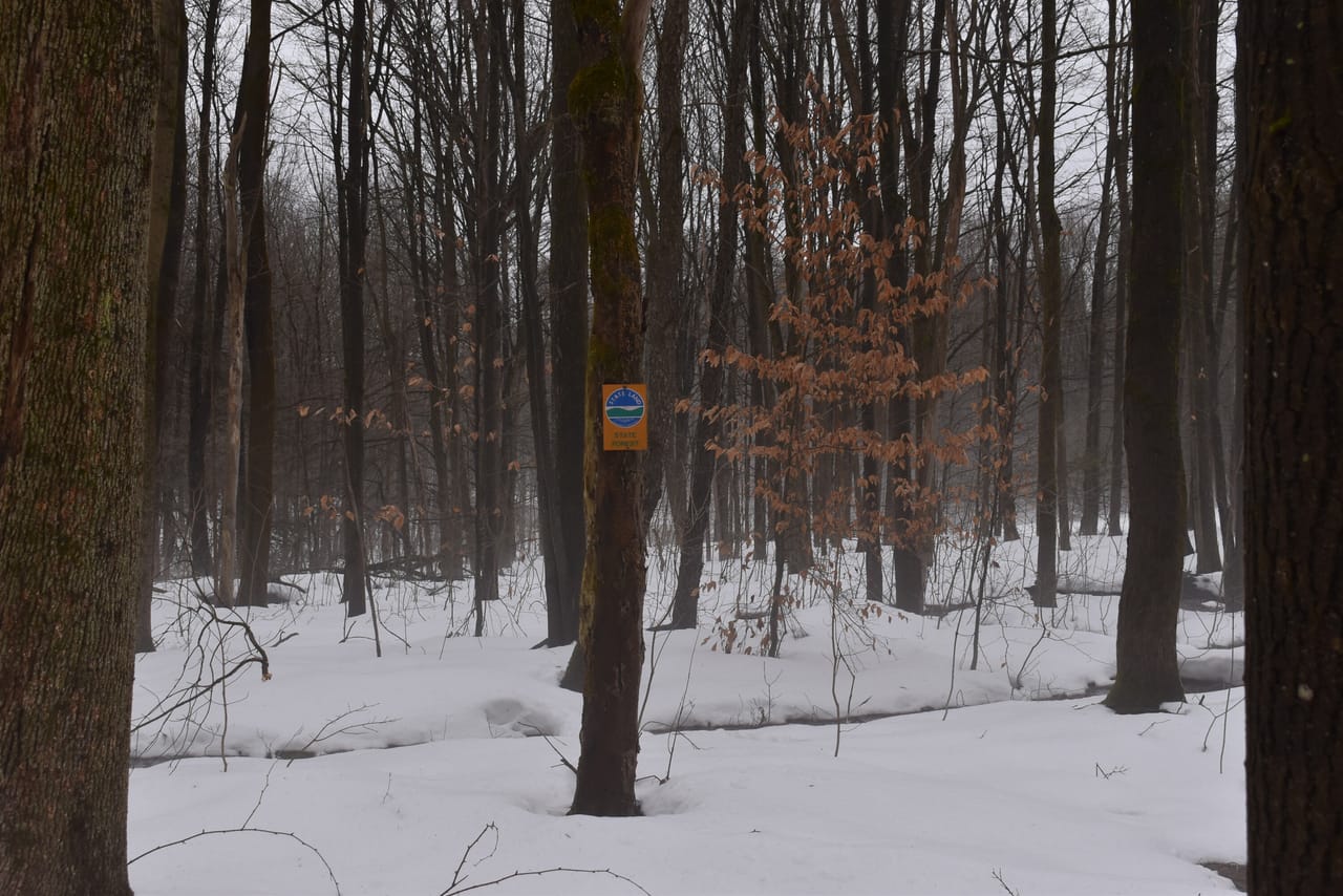 Harris Hill Lot 1