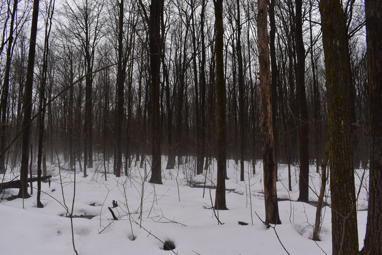 Harris Hill Lot 1