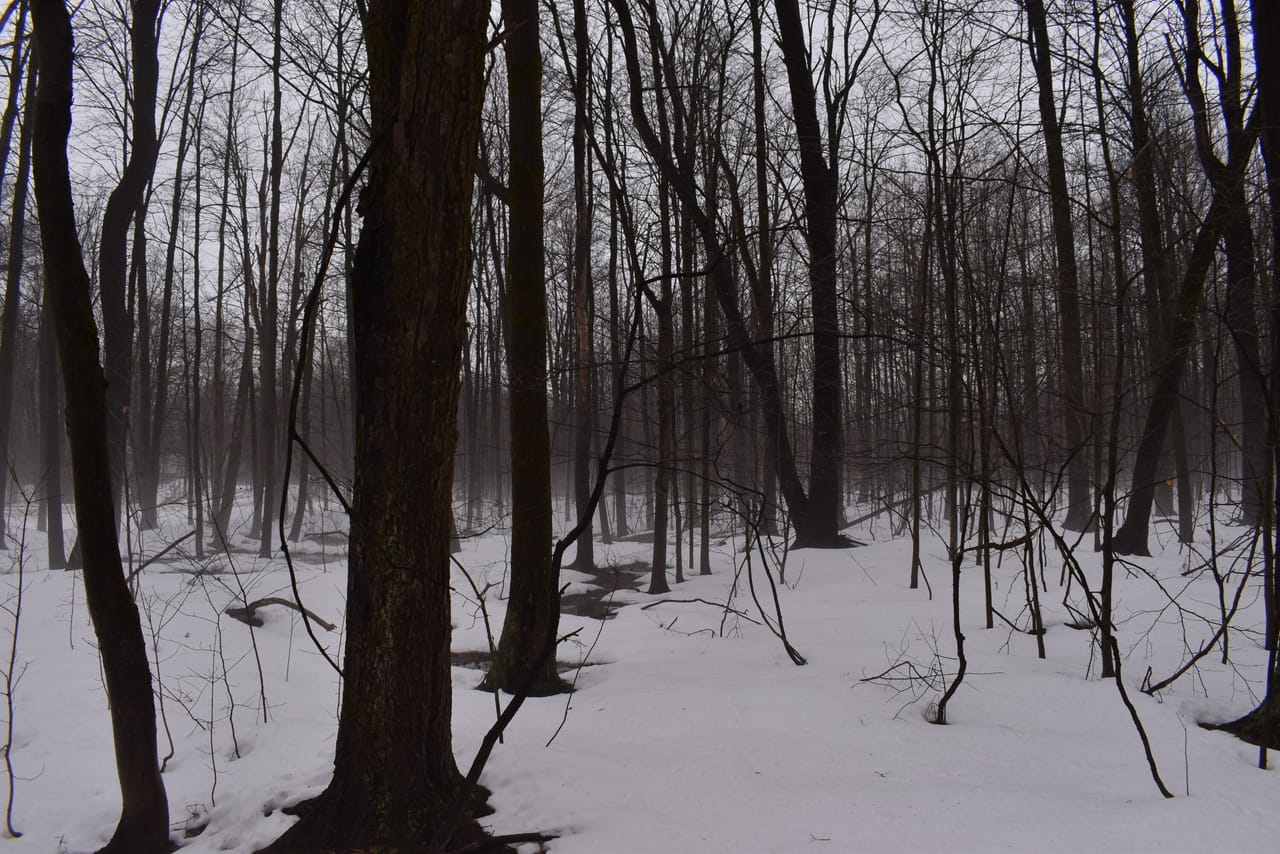 Harris Hill Lot 1