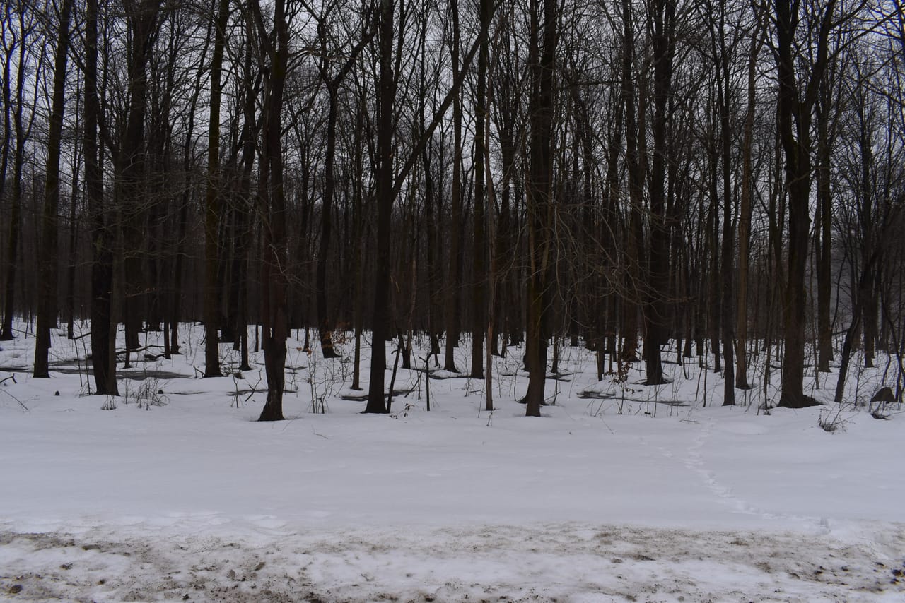 Harris Hill Lot 1