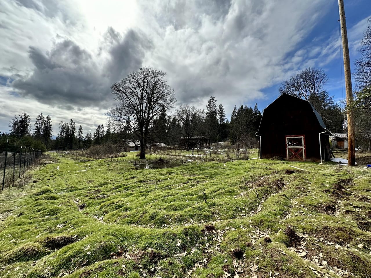 Listing Image 34