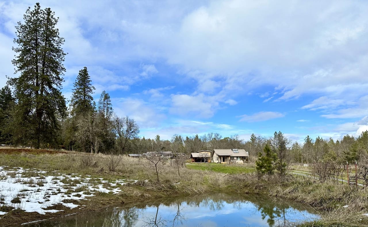 Listing Image 80