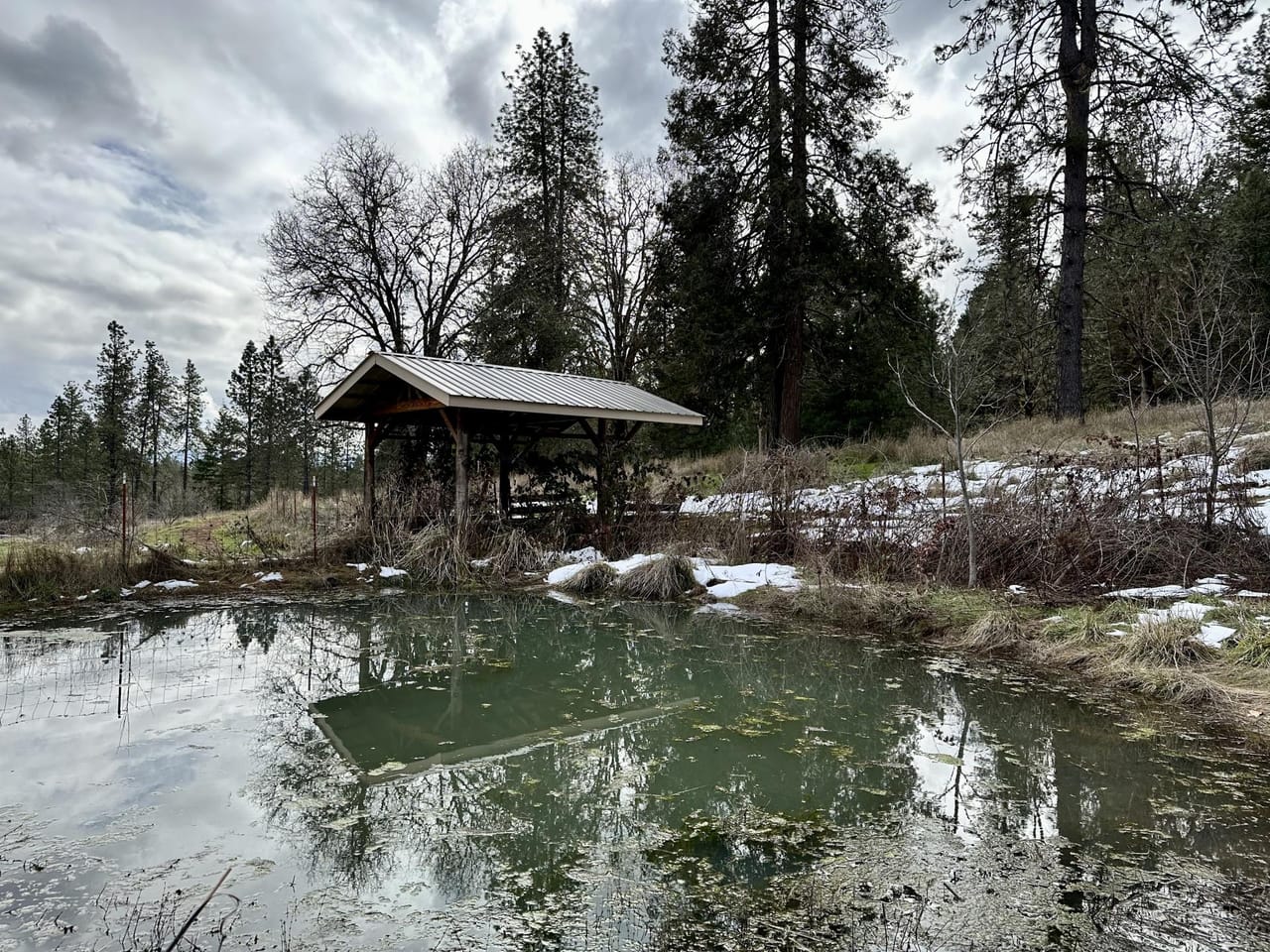 Listing Image 55