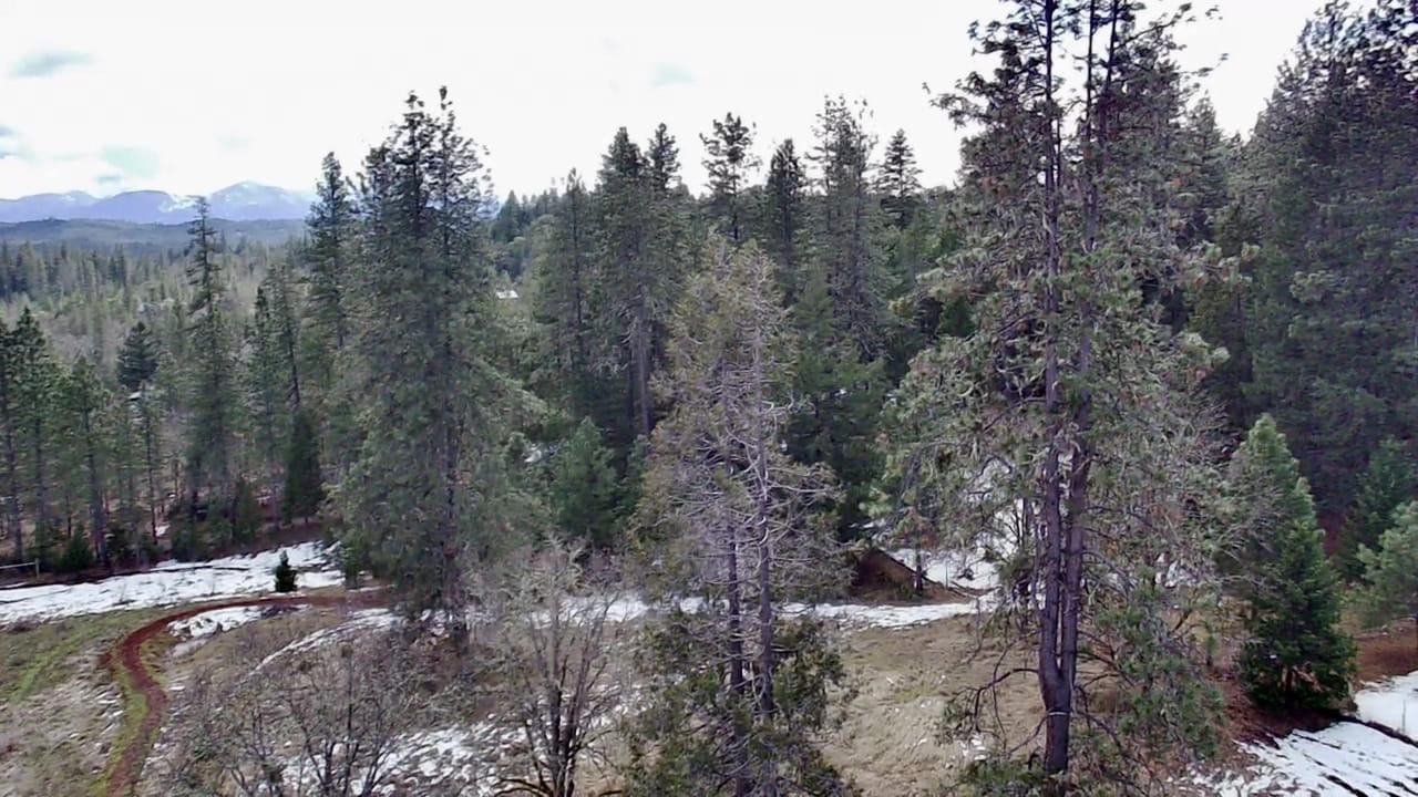 Listing Image 62