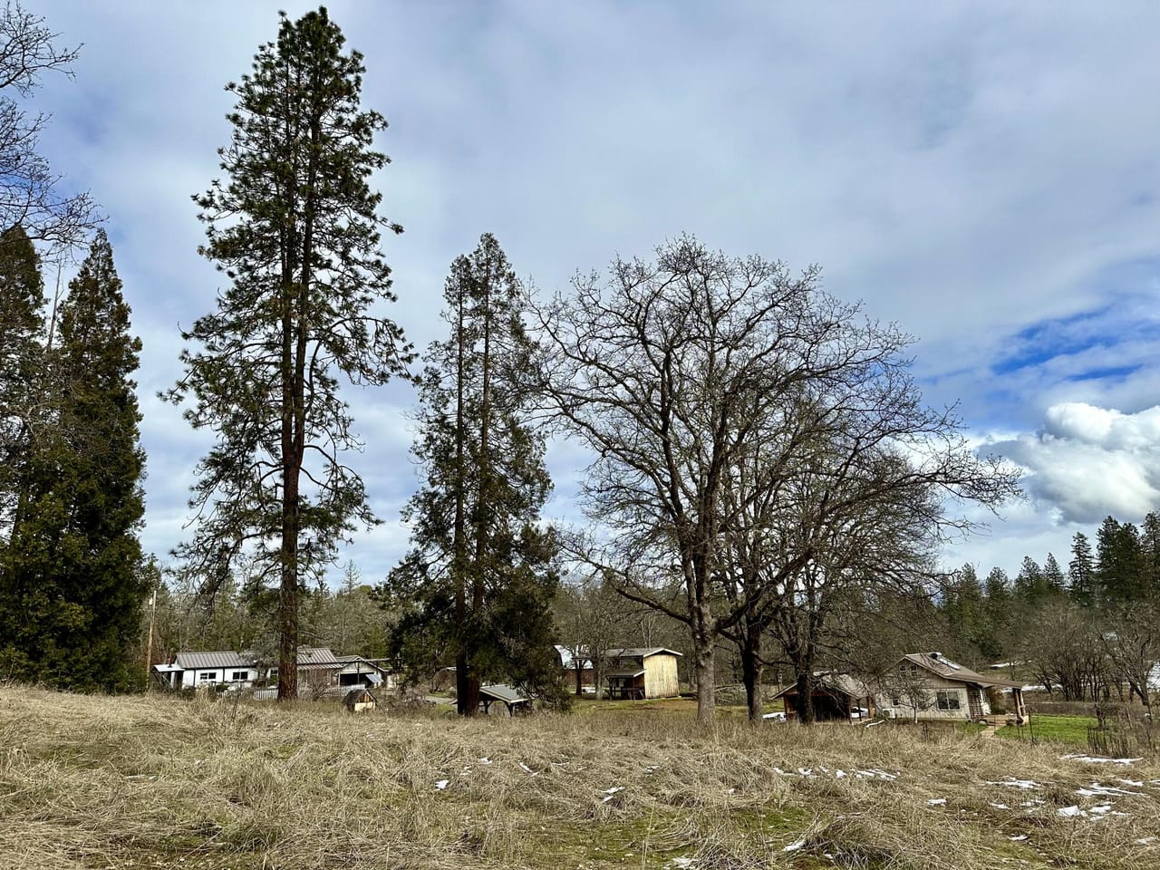 Listing Image 66
