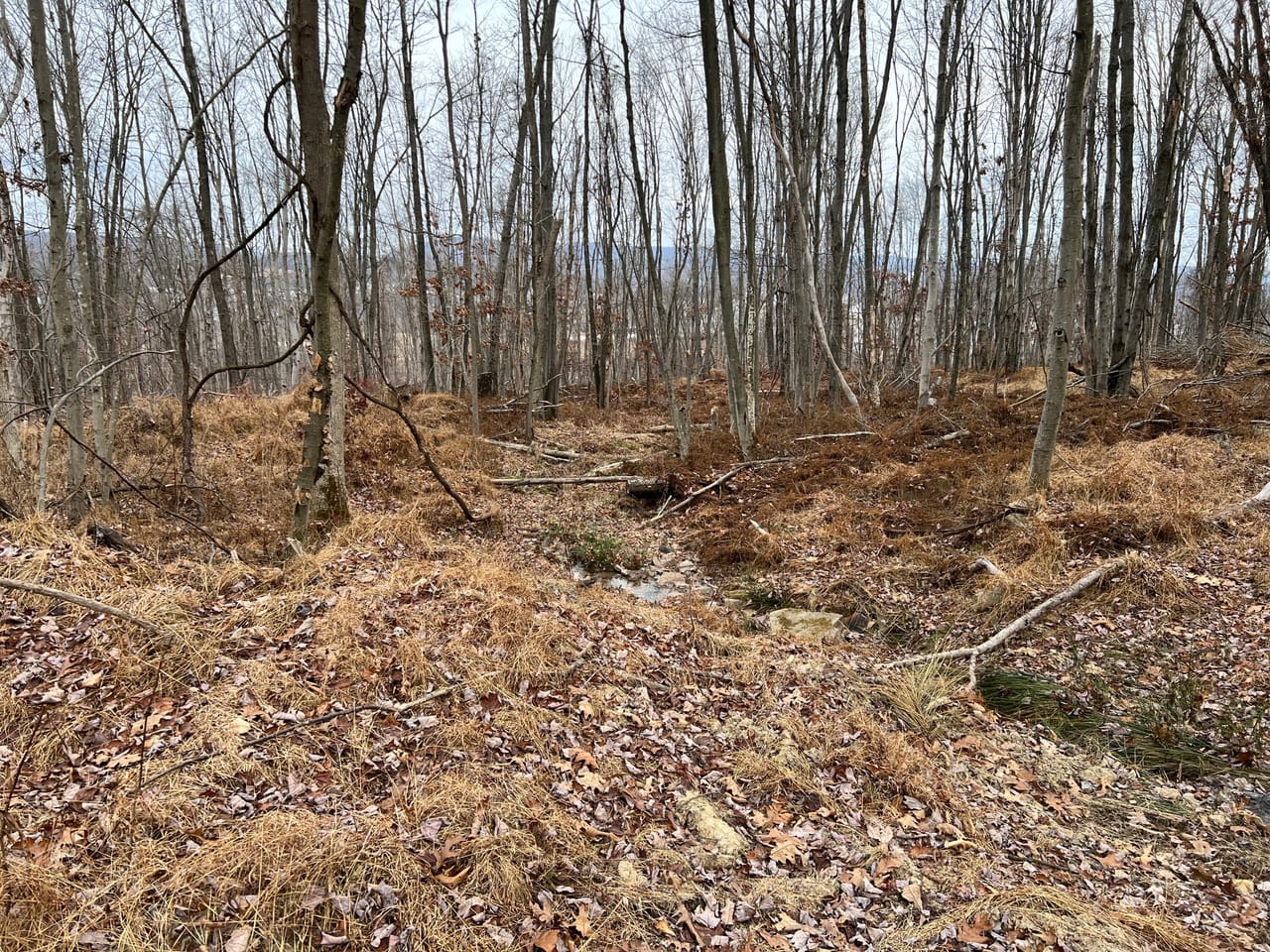 Listing Image 50