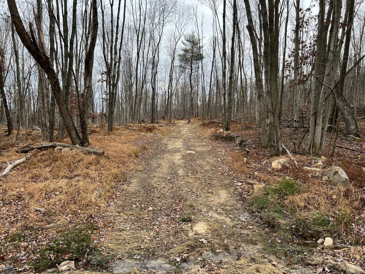 Listing Image 20