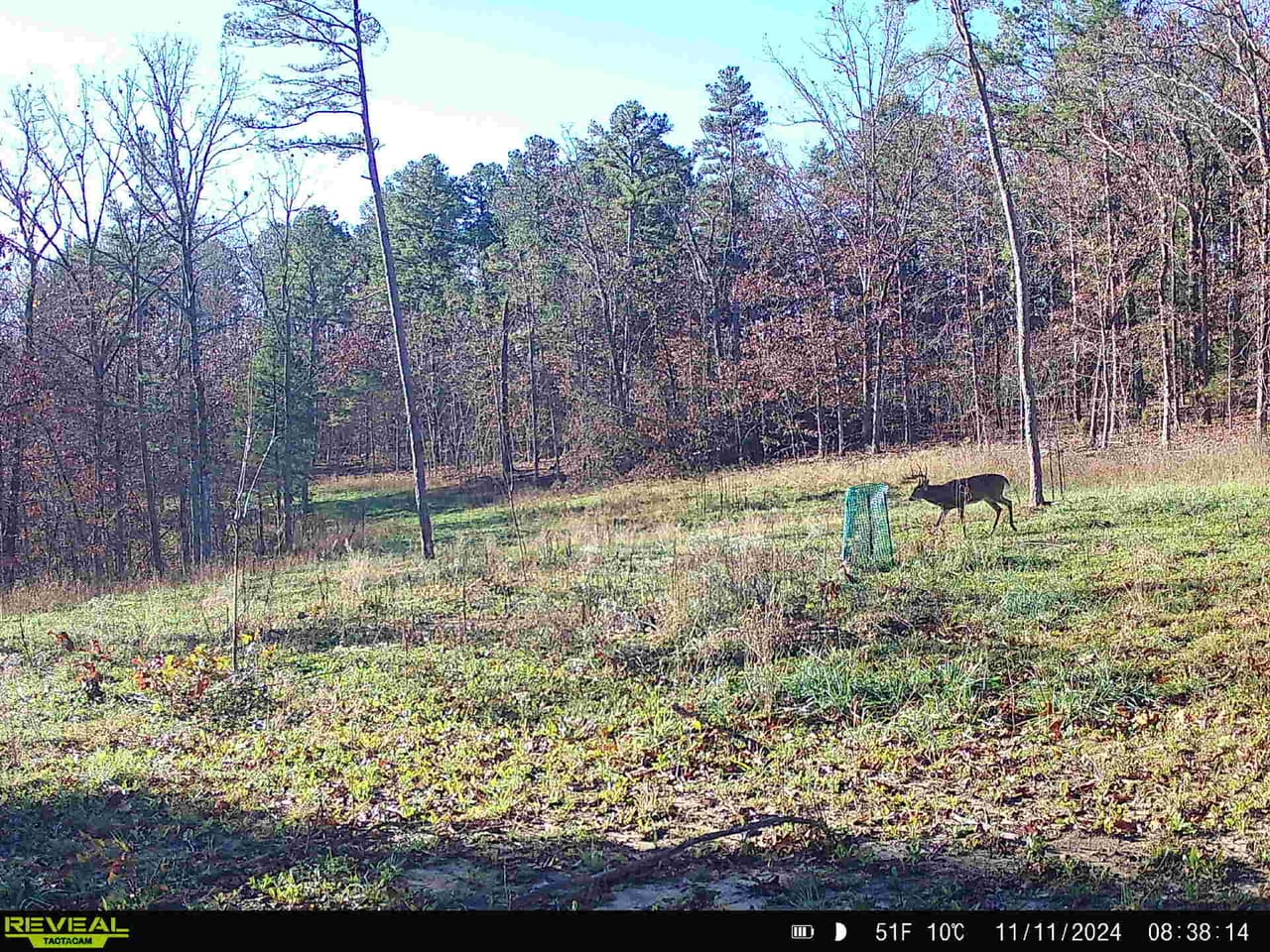 Listing Image 49