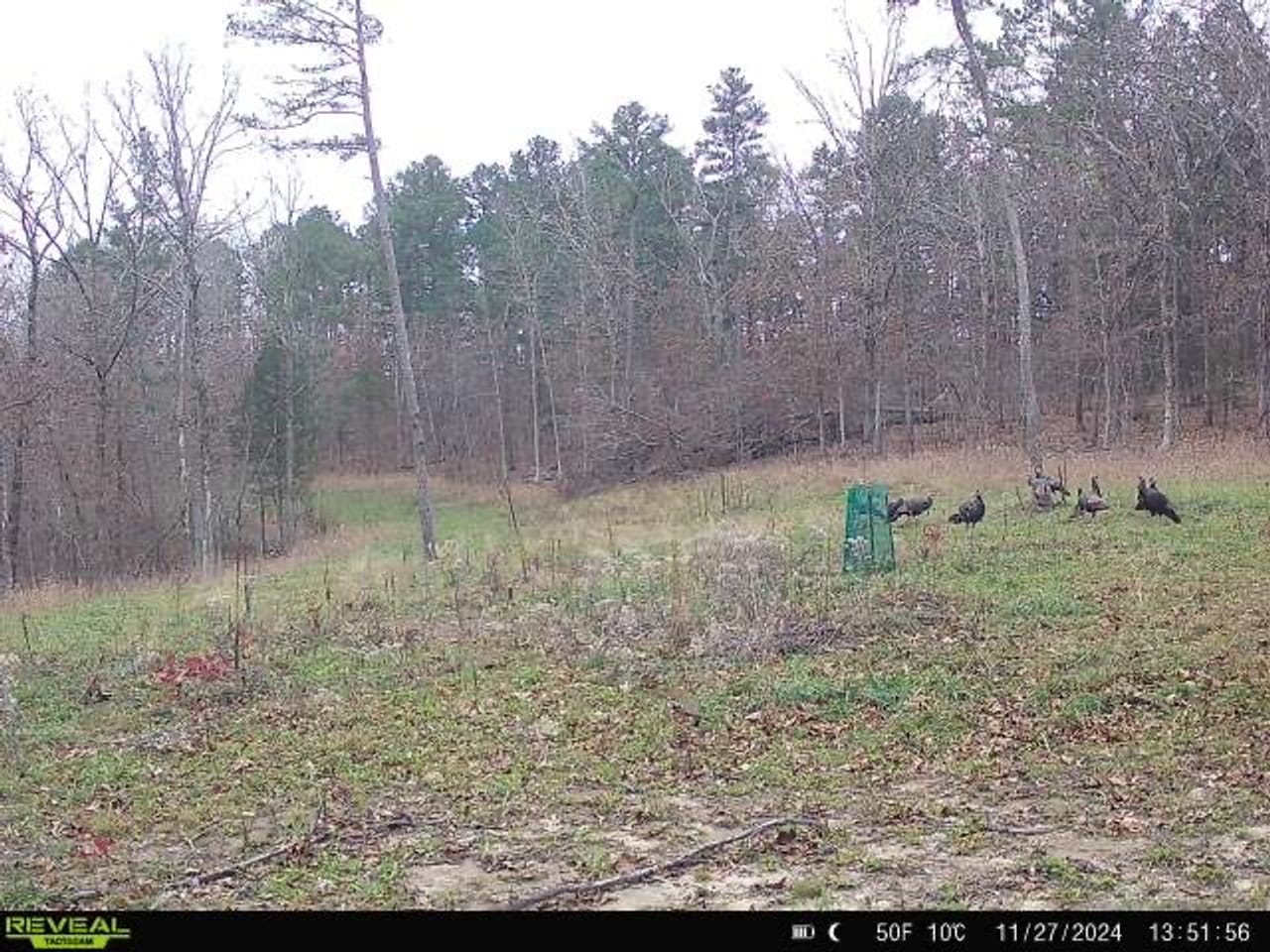 Listing Image 51