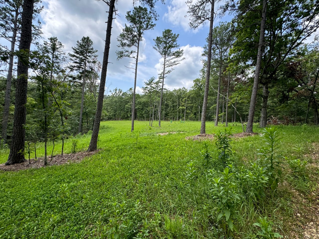 Listing Image 4