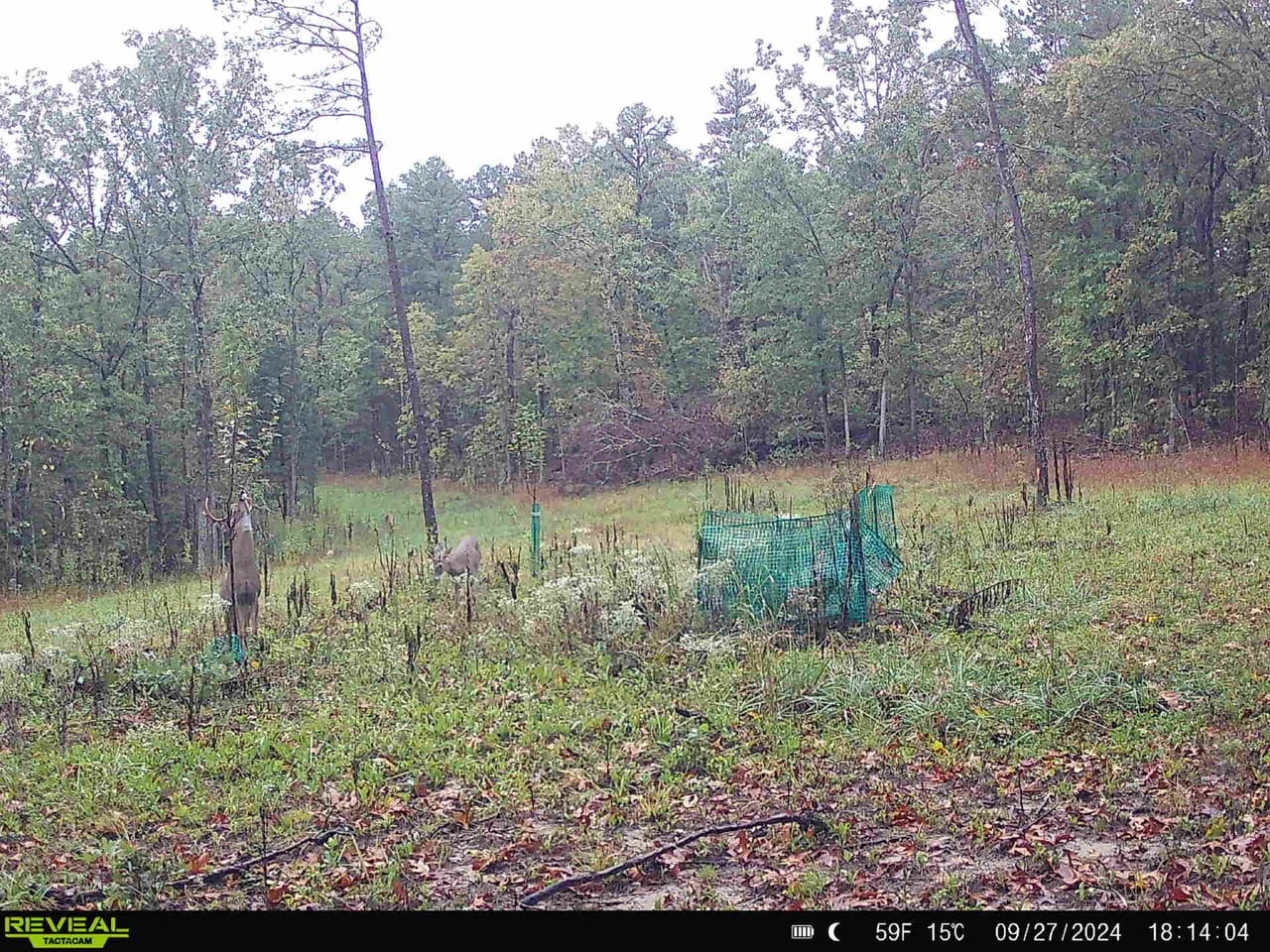 Listing Image 14