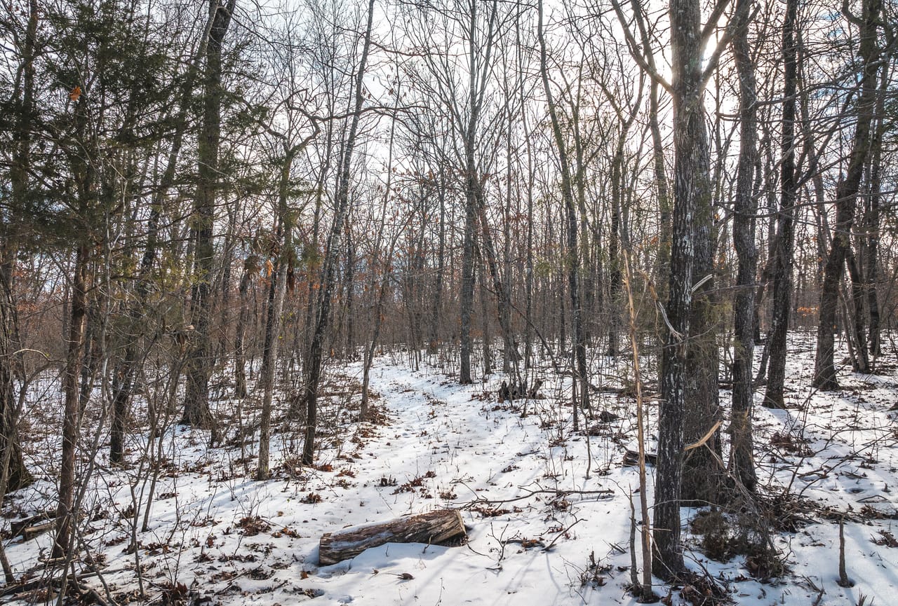 Listing Image 22