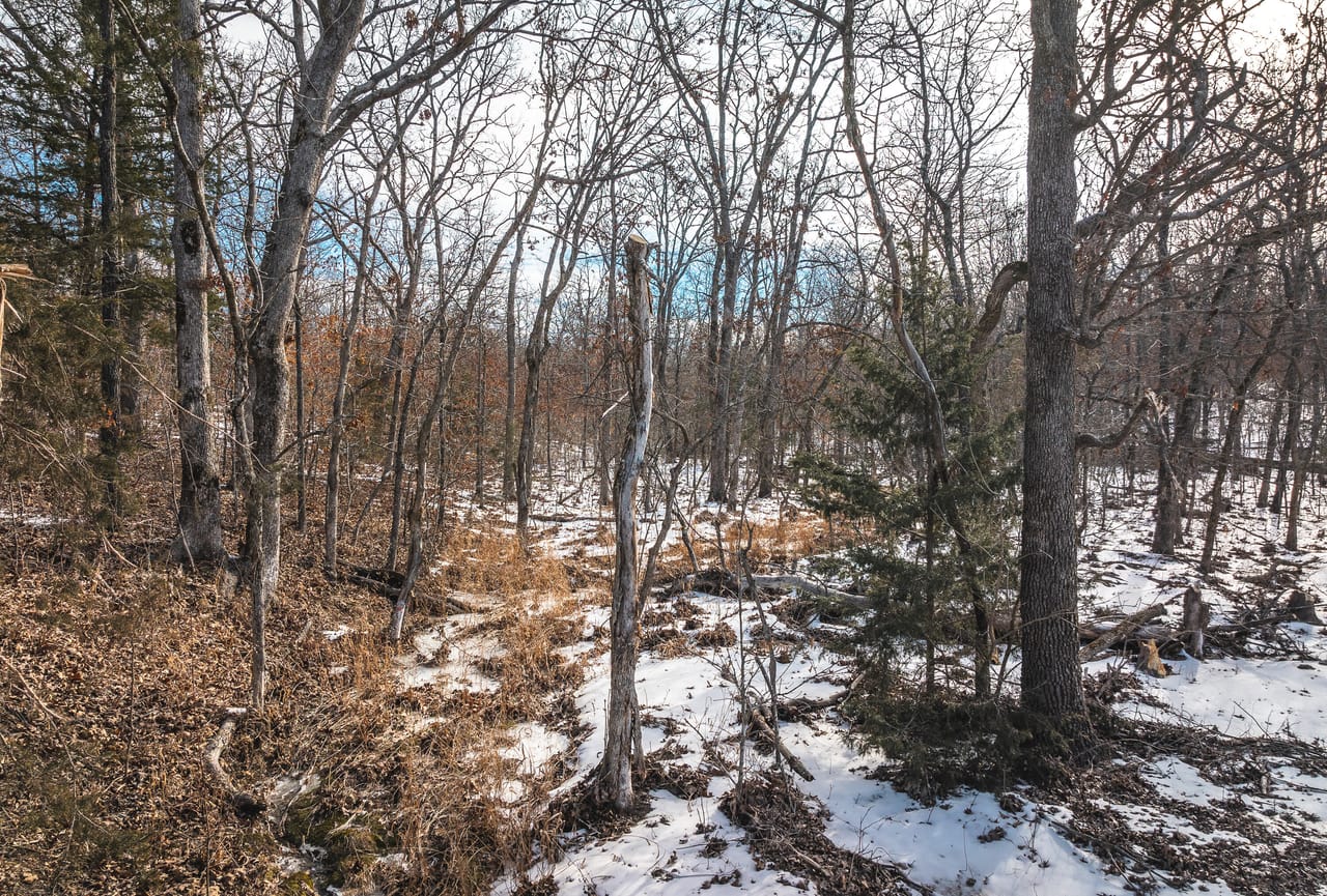 Listing Image 23