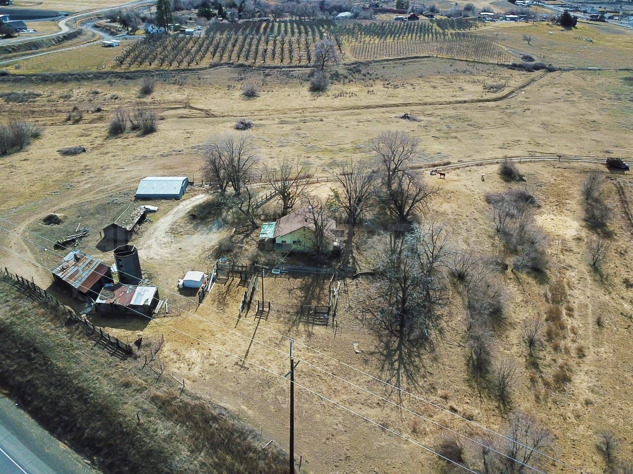 Listing Image 4