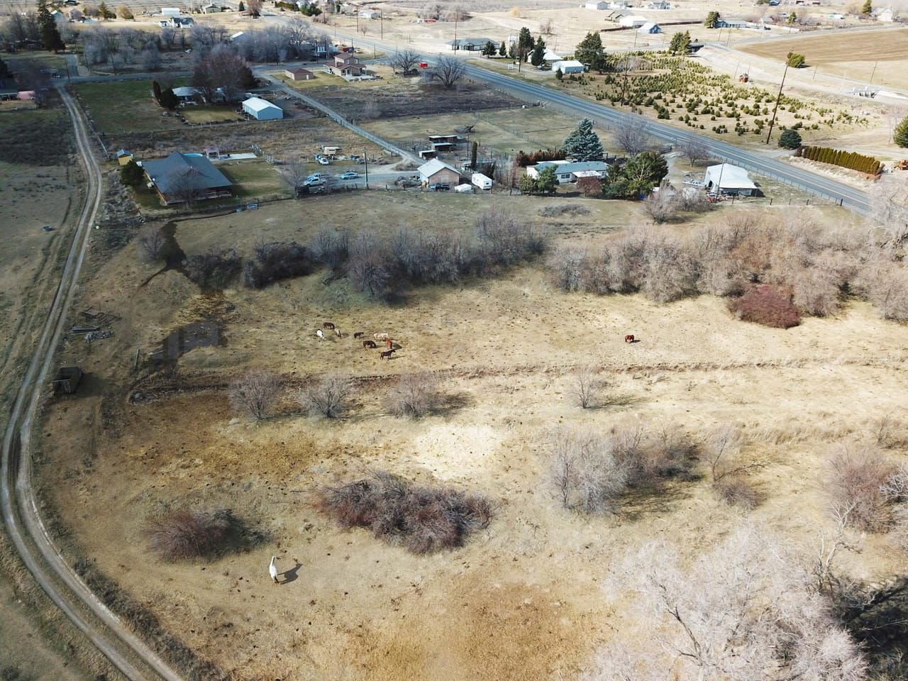 Listing Image 12