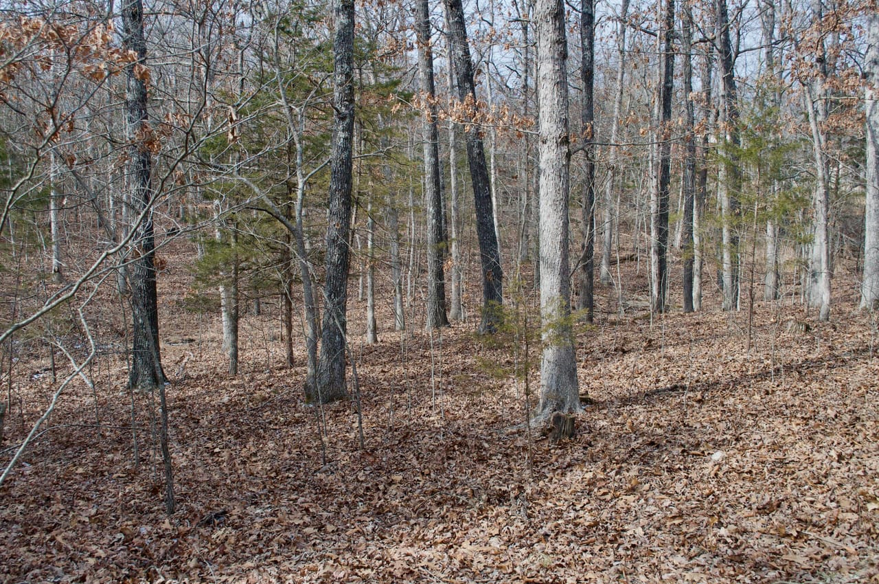 Listing Image 9