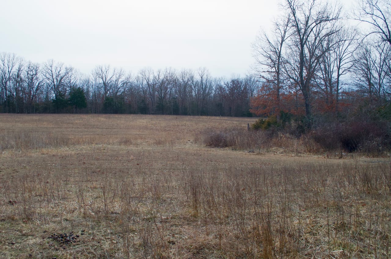 Listing Image 11
