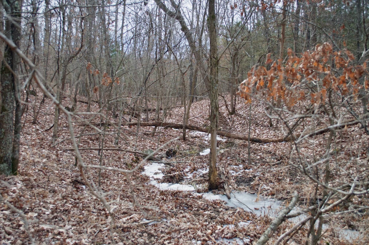 Listing Image 15