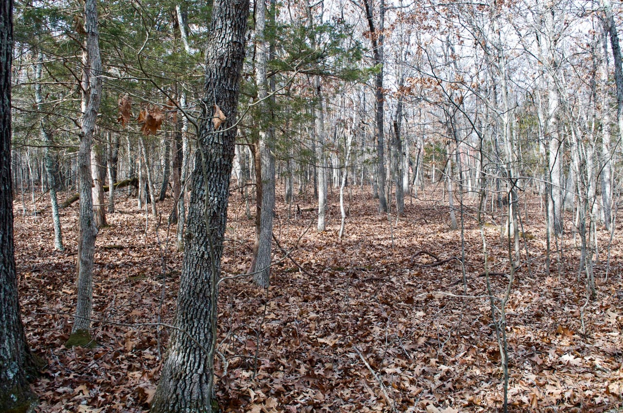 Listing Image 16